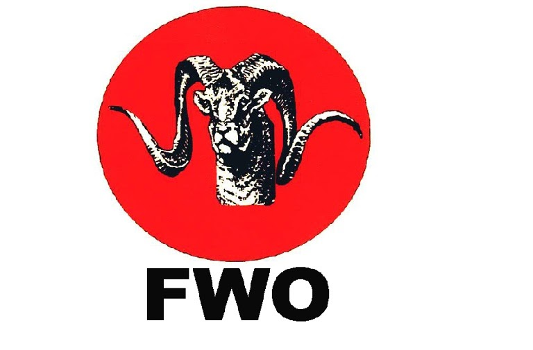 Frontier Works Organization Logo